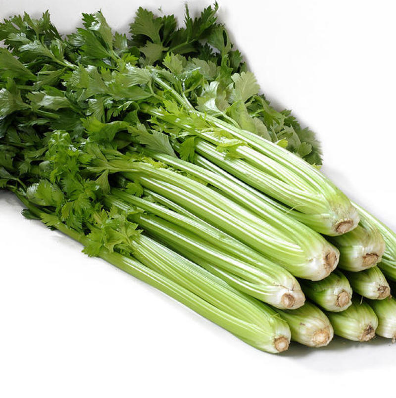 【芹菜】大量上市价格优惠品质保证货源充足量大优
