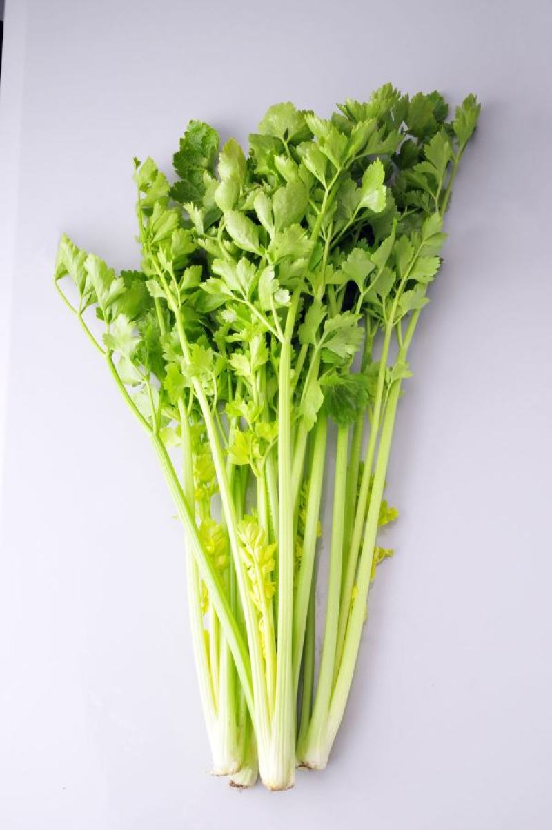 【芹菜】大量上市价格优惠品质保证货源充足量大优