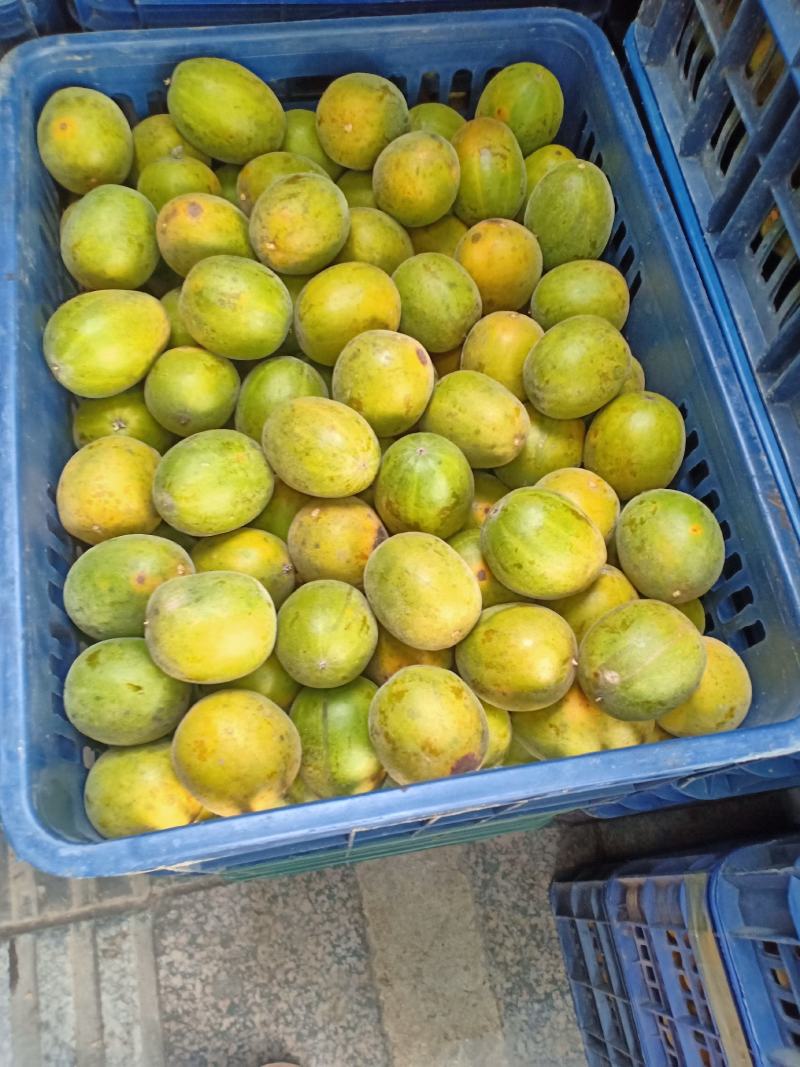 绿色食品罗汉果鲜果