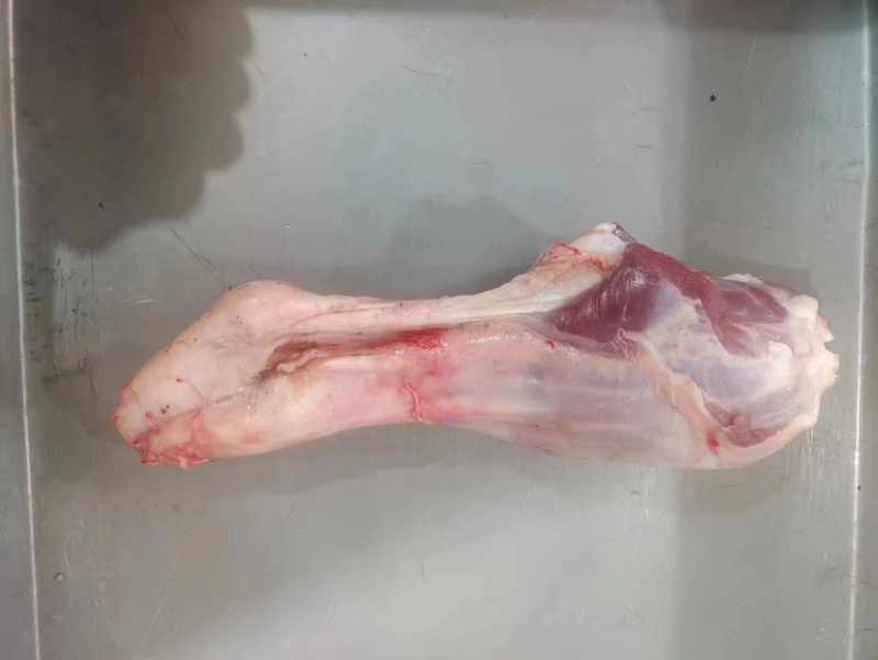 羊棒骨羊腿商用羊腱子肉羊腿