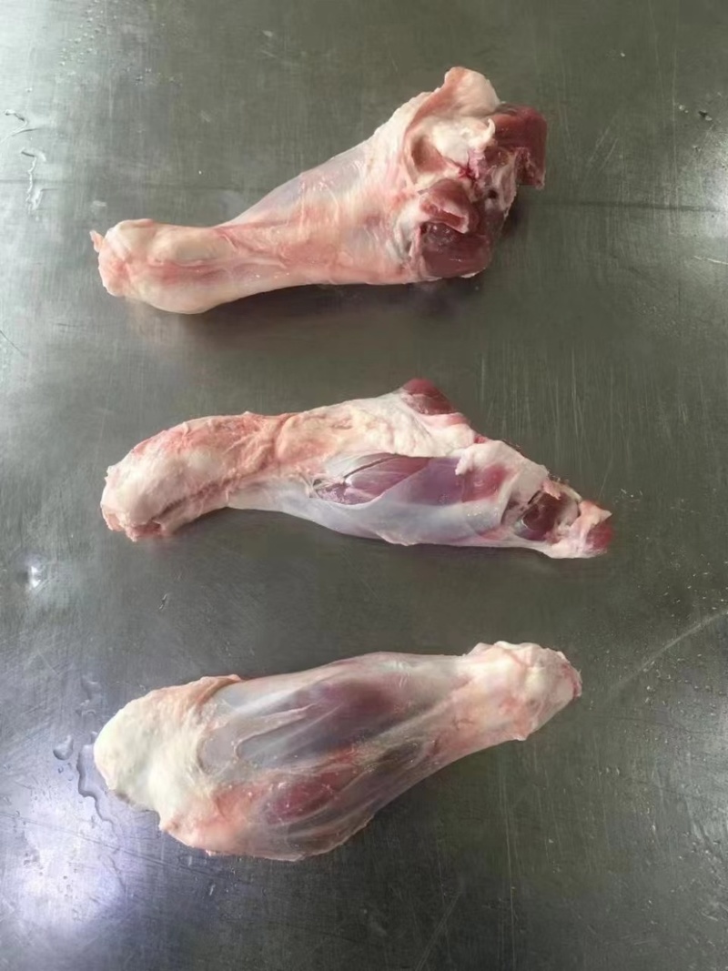 羊棒骨羊腿商用羊腱子肉羊腿