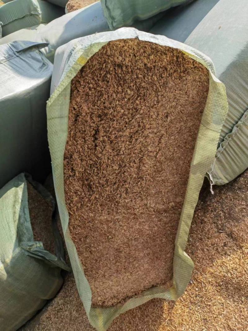 厂家批发稻壳压缩稻壳散包稻壳养殖垫料枕头填充