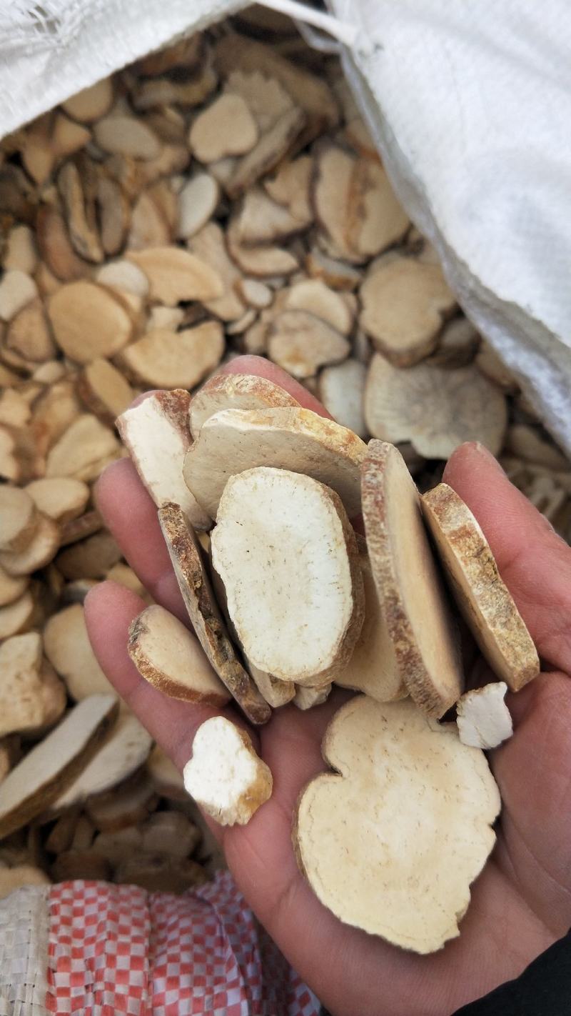 天花粉，瓜蒌根，新货无硫，现货，河北无硫统，实拍现货