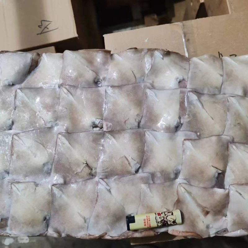 鱿鱼尾新鲜冷冻阿根廷鱿鱼耳片鱿鱼尾巴鱿鱼翅厂家发货