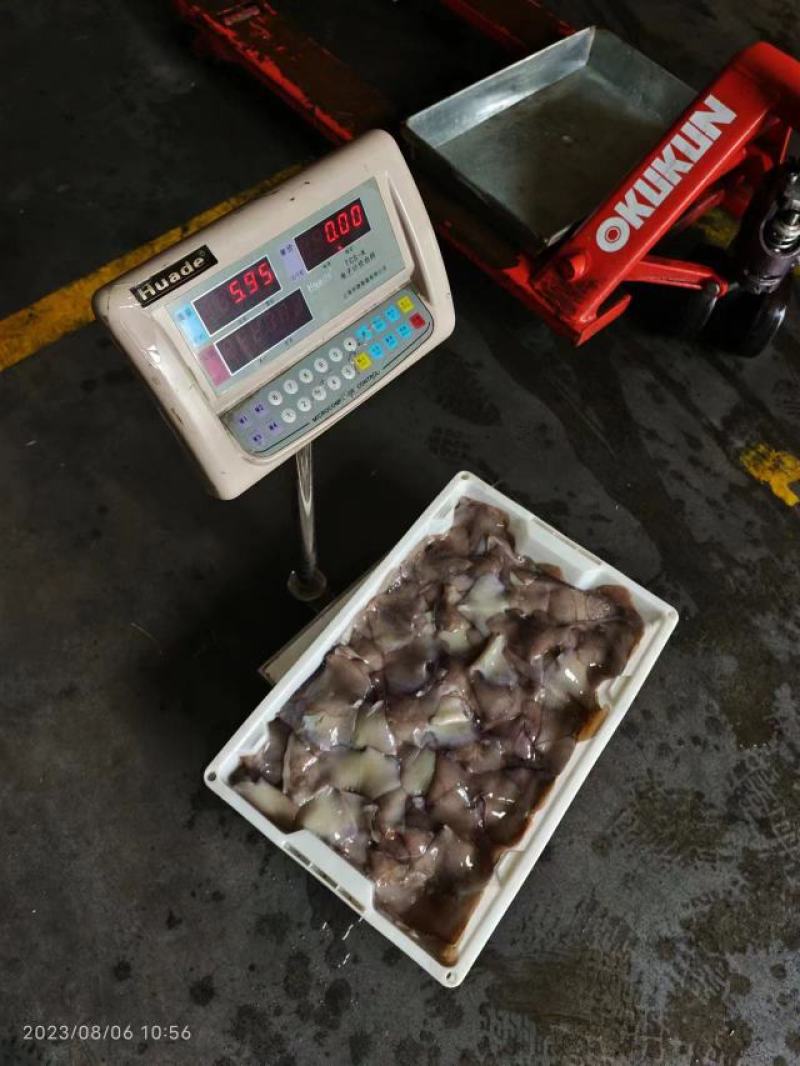 鱿鱼尾新鲜冷冻阿根廷鱿鱼耳片鱿鱼尾巴鱿鱼翅厂家发货