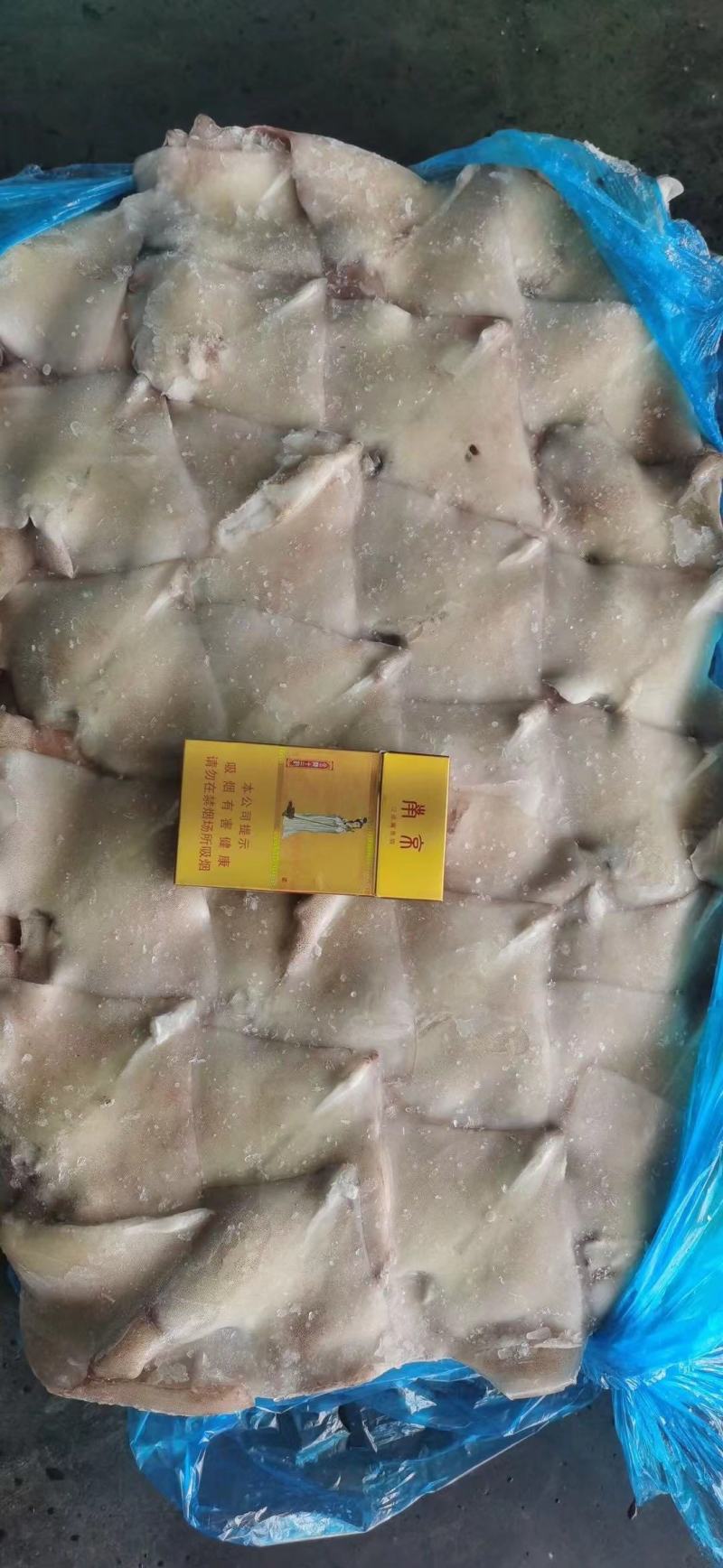 鱿鱼尾新鲜冷冻阿根廷鱿鱼耳片鱿鱼尾巴鱿鱼翅厂家发货