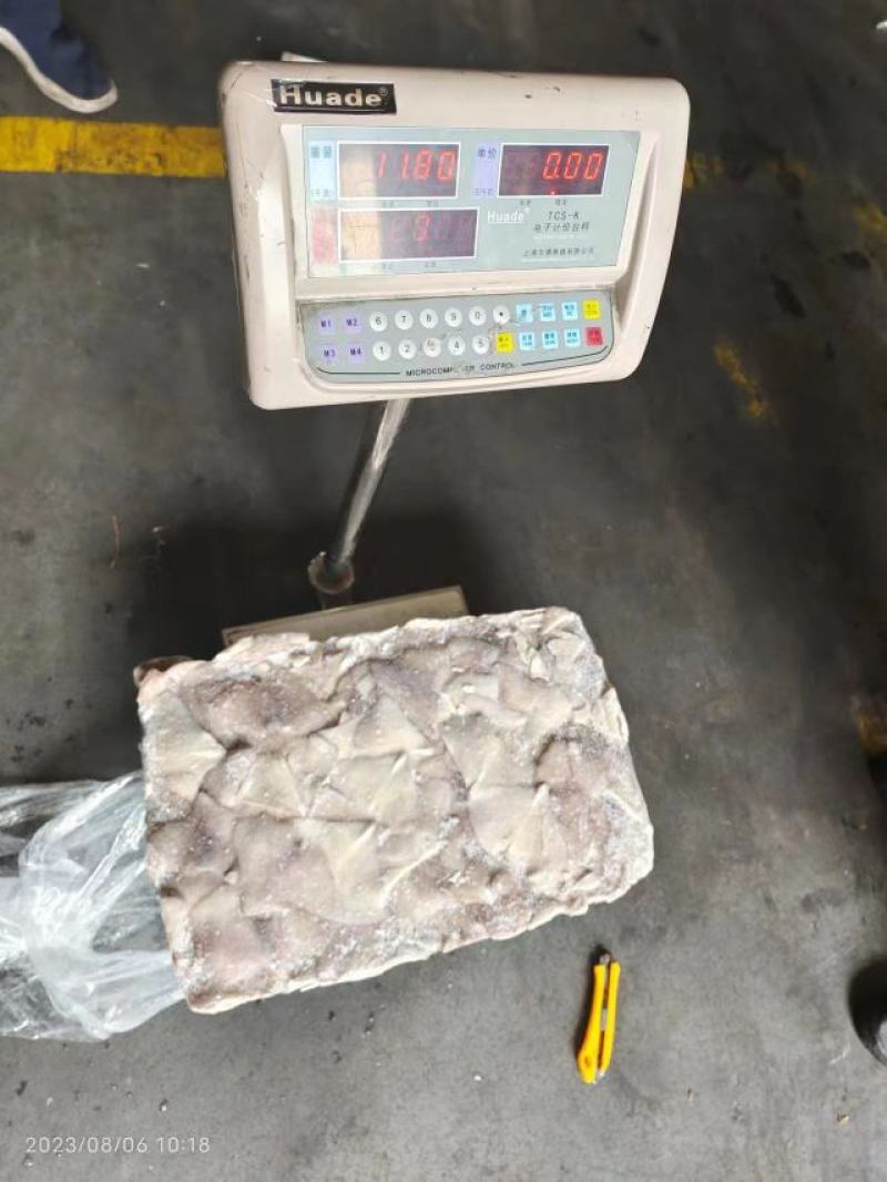鱿鱼尾新鲜冷冻阿根廷鱿鱼耳片鱿鱼尾巴鱿鱼翅厂家发货
