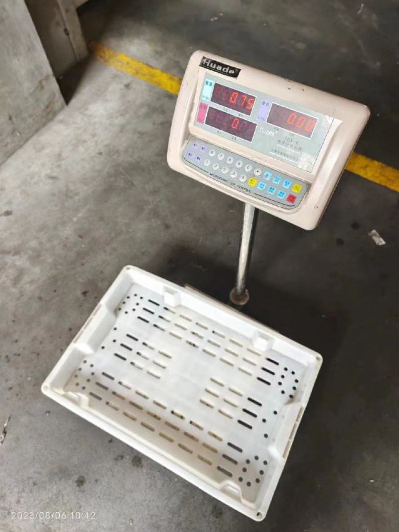鱿鱼尾新鲜冷冻阿根廷鱿鱼耳片鱿鱼尾巴鱿鱼翅厂家发货