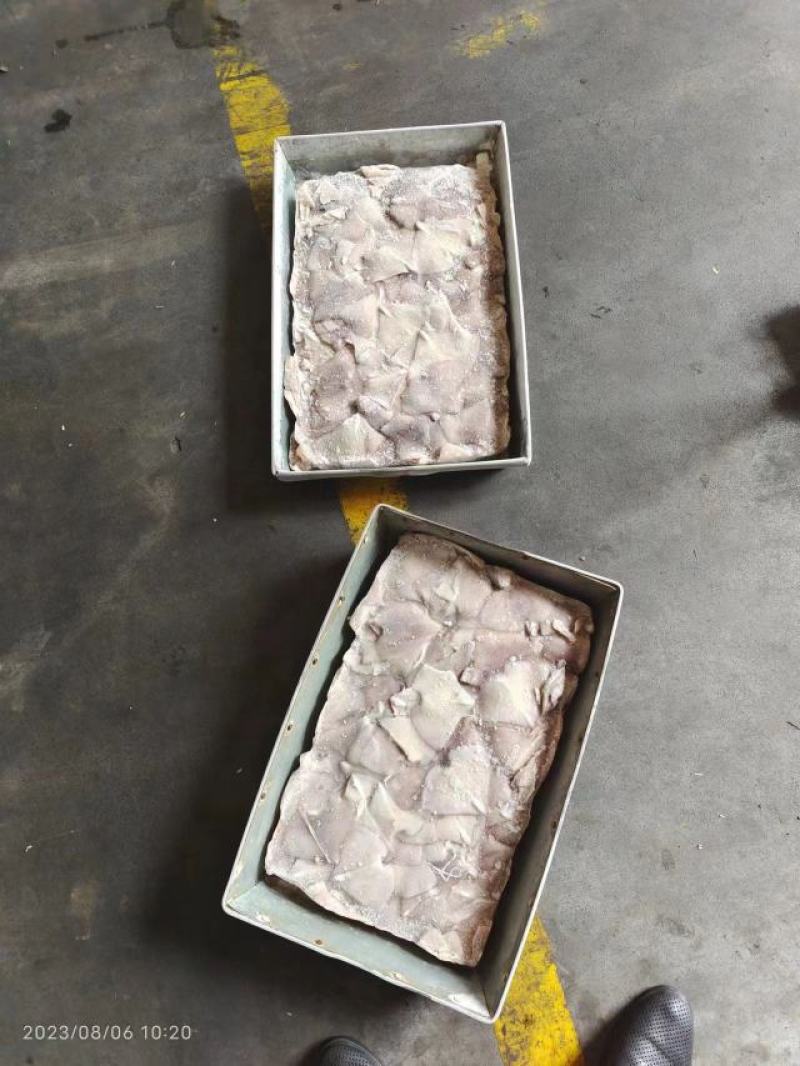 鱿鱼尾新鲜冷冻阿根廷鱿鱼耳片鱿鱼尾巴鱿鱼翅厂家发货