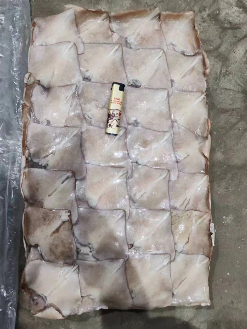 鱿鱼尾新鲜冷冻阿根廷鱿鱼耳片鱿鱼尾巴鱿鱼翅厂家发货