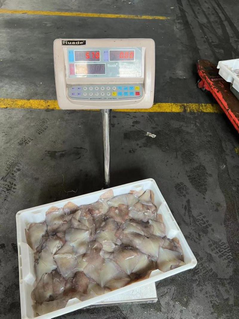 鱿鱼尾新鲜冷冻阿根廷鱿鱼耳片鱿鱼尾巴鱿鱼翅厂家发货