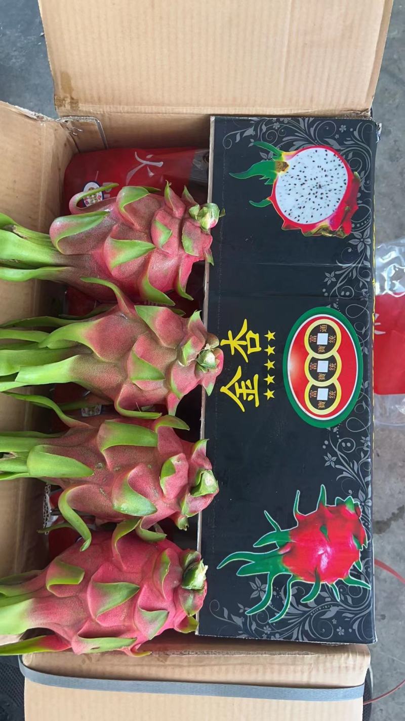 精品火龙果，大量供应全国走货中，品质保证，欢迎采购