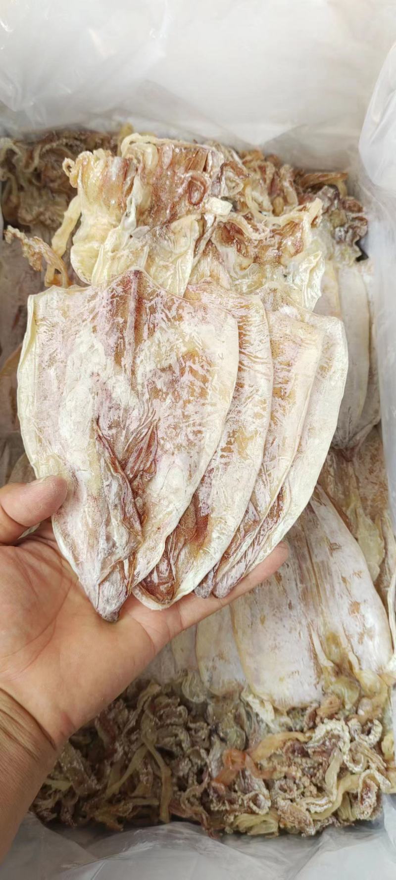 新鲜鱿鱼干A3自晒干鱿鱼海鲜干货烧烤专用均匀度%98