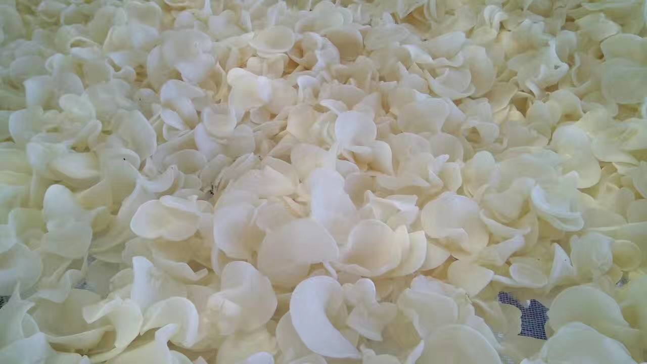 白木耳炖煮成品图