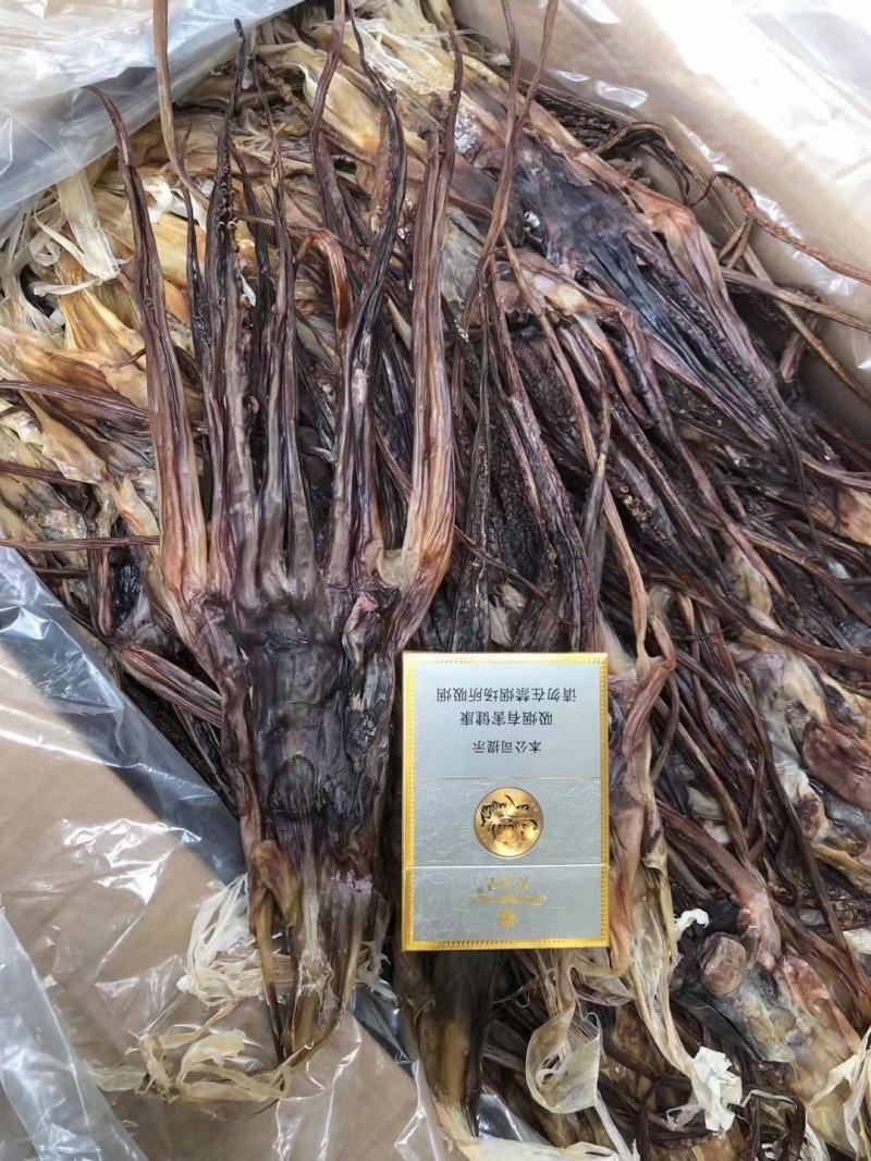 【新货】水发鱿鱼干烧烤鱿鱼黑鱿鱼干海鲜干货工厂直供