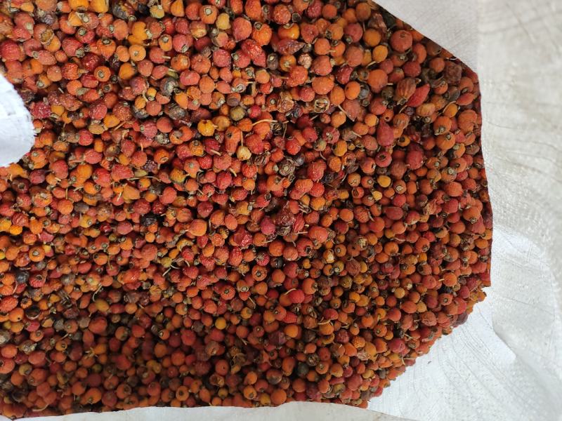 刺梅果