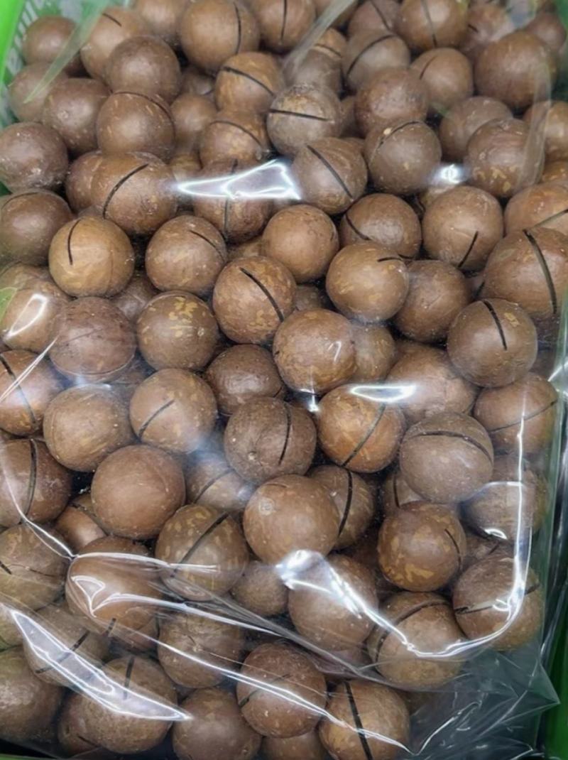 新货薄壳，云南果奶香夏威夷果，皮薄果仁香脆货源充足