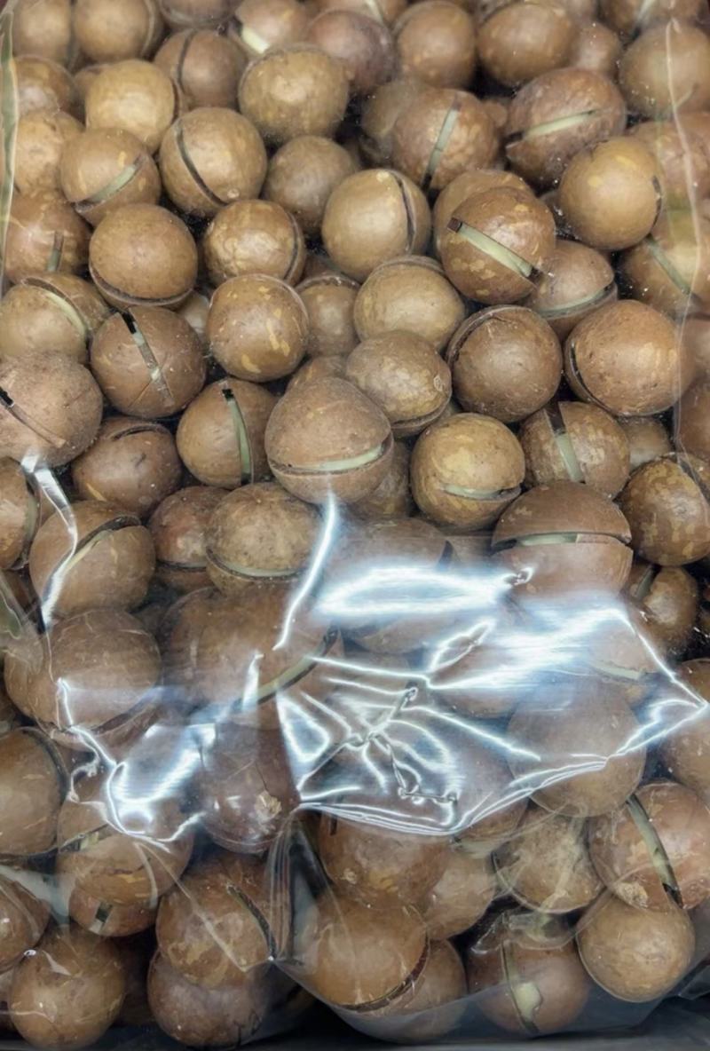 新货薄壳，云南果奶香夏威夷果，皮薄果仁香脆货源充足