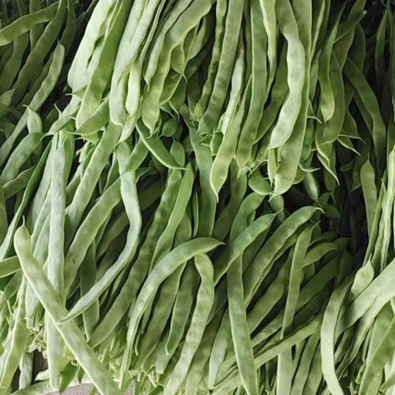 扁豆