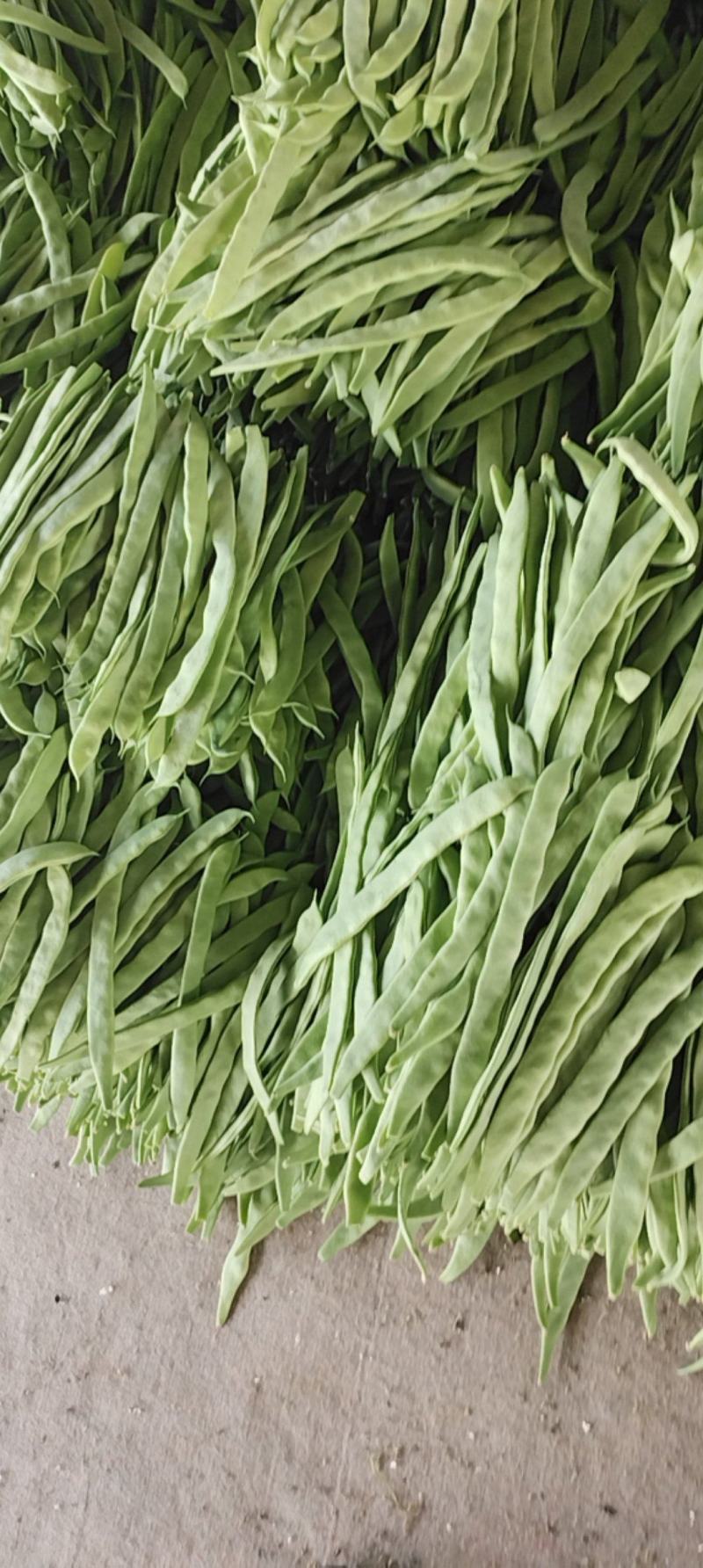 扁豆