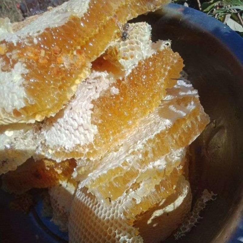 天然蜂蜜土蜂蜜传统割蜜法货源稳定质量保障欢迎联系