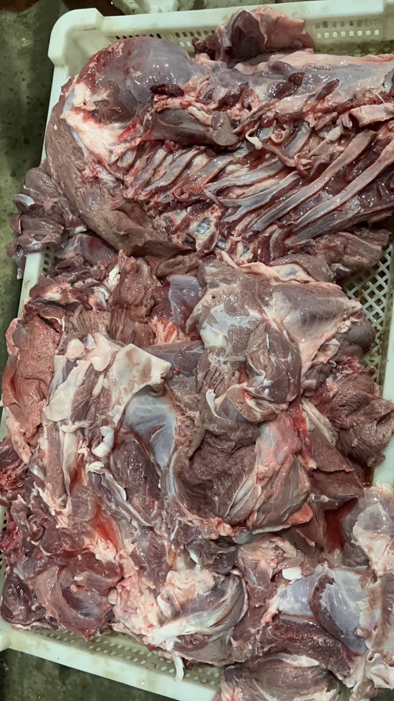 鲜冻剔骨羊板肉现宰现发支持视频看货欢迎联系