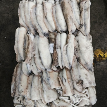 墨鱼大墨鱼路冻墨鱼无泡水墨鱼300/400400/60