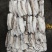 墨鱼大墨鱼路冻墨鱼无泡水墨鱼300/400400/60