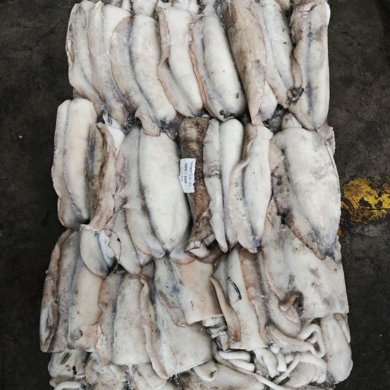 墨鱼大墨鱼路冻墨鱼无泡水墨鱼300/400400/60