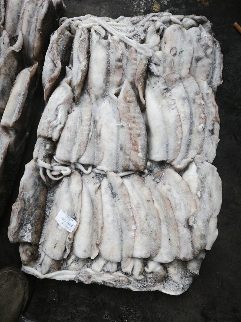 墨鱼大墨鱼路冻墨鱼无泡水墨鱼300/400400/60