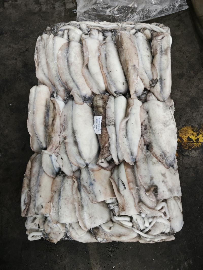 墨鱼大墨鱼路冻墨鱼无泡水墨鱼300/400400/60