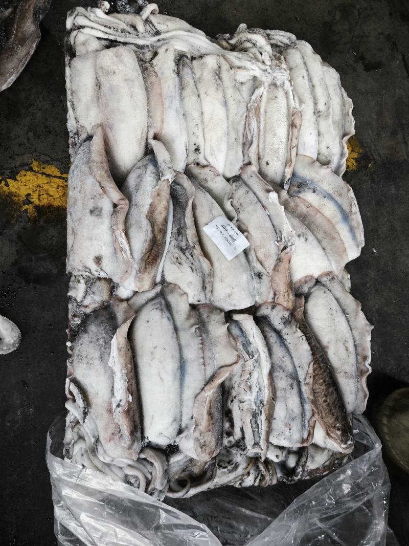 墨鱼大墨鱼路冻墨鱼无泡水墨鱼300/400400/60