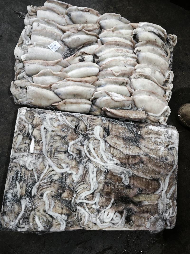 墨鱼大墨鱼路冻墨鱼无泡水墨鱼300/400400/60