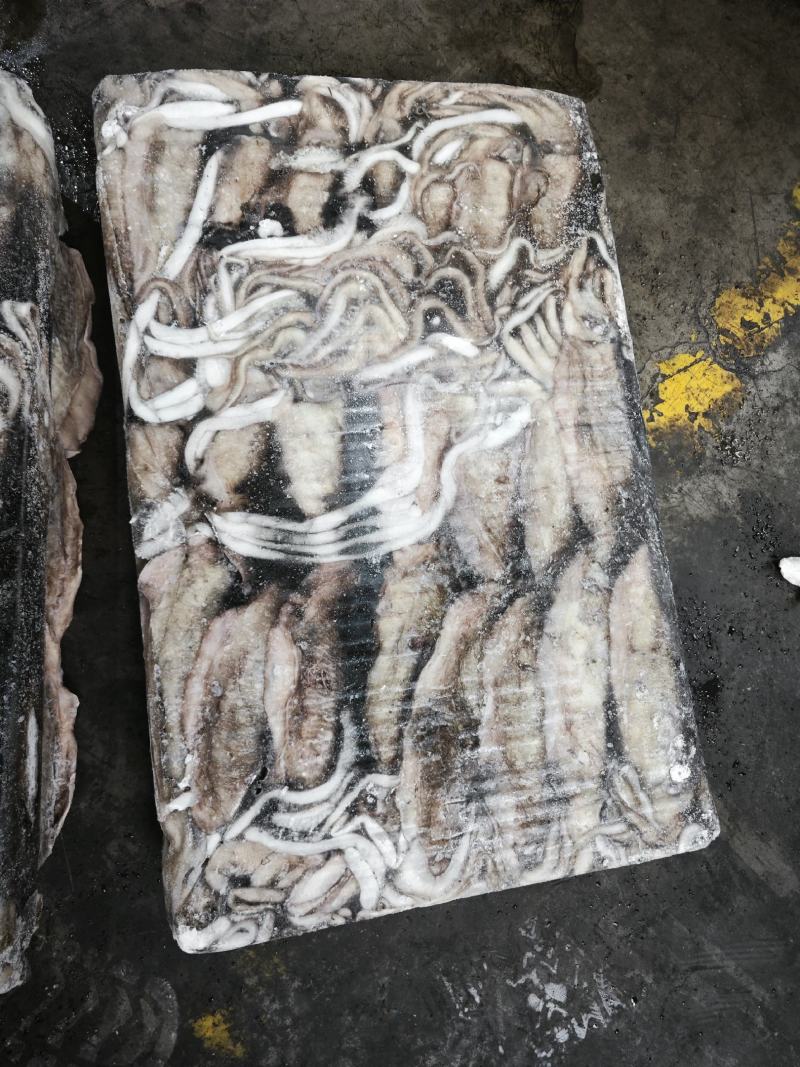 墨鱼大墨鱼路冻墨鱼无泡水墨鱼300/400400/60