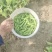 豌豆荚