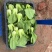 【推荐】小青菜，油菜，上海青，供应市场商超电商