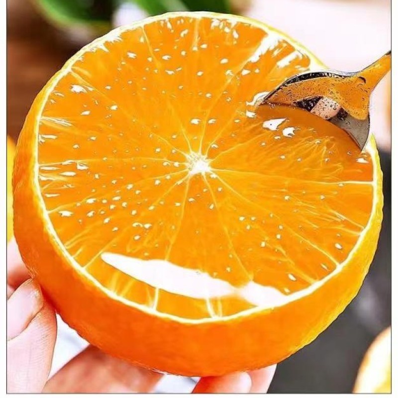 爱媛橙