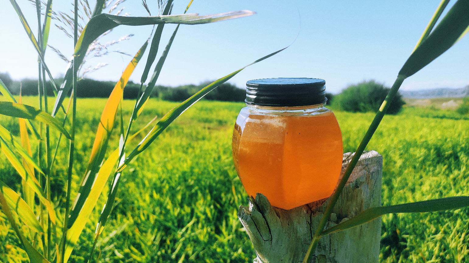 一杯温热的蜂蜜水放置在晨光下的木质桌面