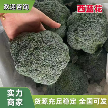 西兰花江苏西兰花绿花菜耐寒优秀耐热炎秀超市