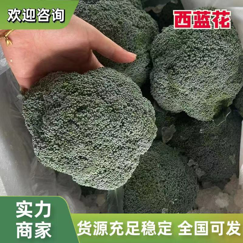 西兰花江苏西兰花绿花菜耐寒优秀耐热炎秀超市