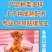散装批发颗粒坚果藕粉源头厂家