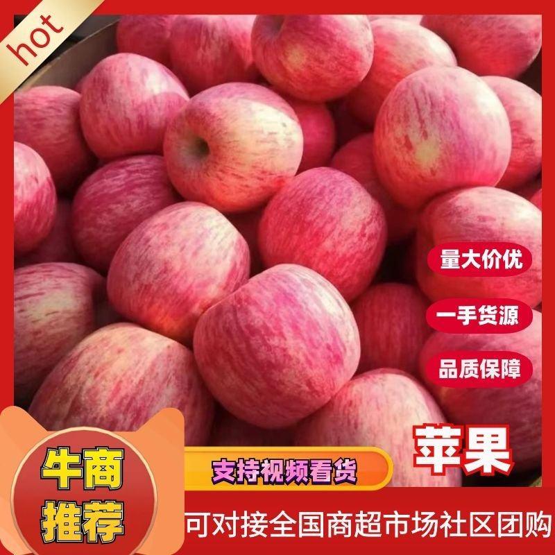 【苹果大降价】精品红富士苹果脆甜多汁产地直发大量现货