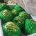 球生菜圆生菜生菜球可代发全国市场，诚信经营。