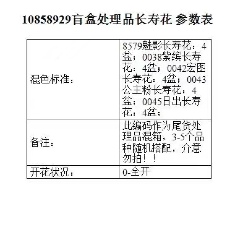 长寿花基地直供110混色150混色150彩虹宜养花期长