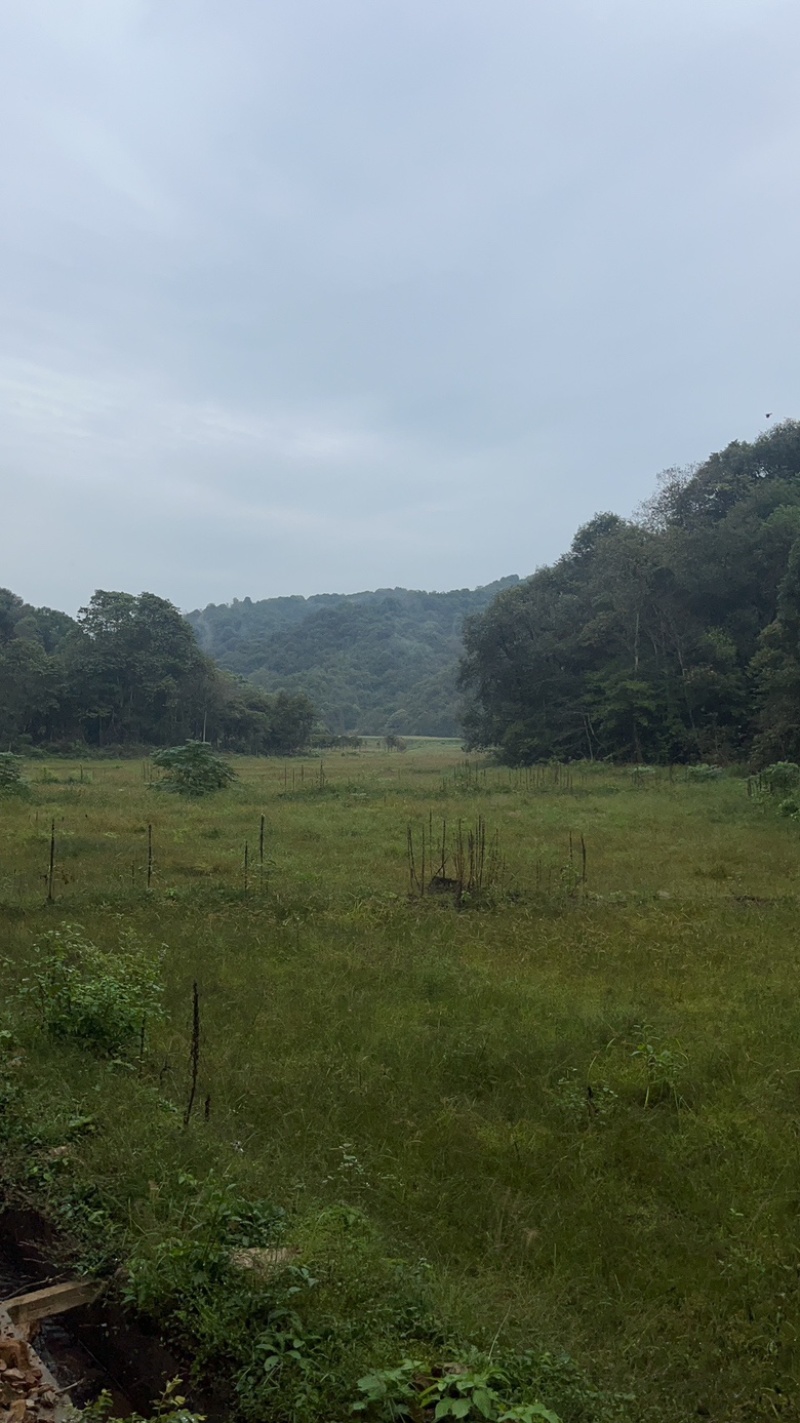 抱团取暖共同发展黄粉虫扩建加盟