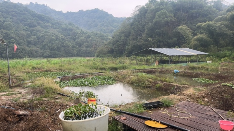 抱团取暖共同发展黄粉虫扩建加盟
