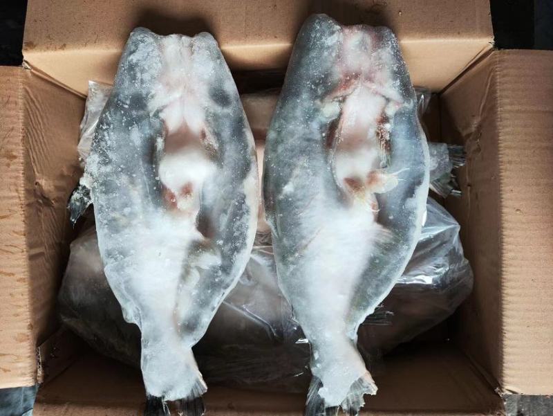 原味巴沙鱼肉质细腻鲜美烧烤鱼单人烤鱼必选