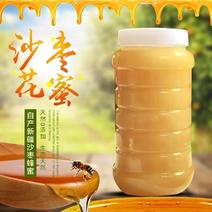 【精选】新疆特产沙枣花蜂蜜品质保证无添加纯正