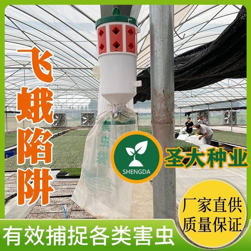 飞蛾陷阱捕蛾器夜娥诱捕器斜纹夜蛾甜菜夜蛾草地贪夜蛾大棚菜