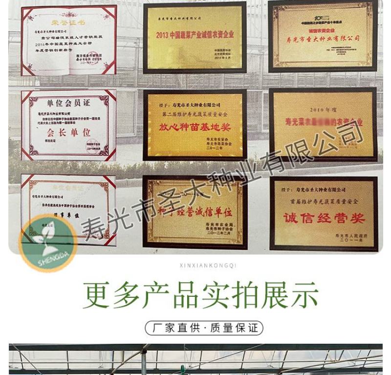 飞蛾陷阱捕蛾器夜娥诱捕器斜纹夜蛾甜菜夜蛾草地贪夜蛾大棚菜
